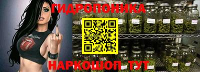 Альфа ПВП Новокубанск