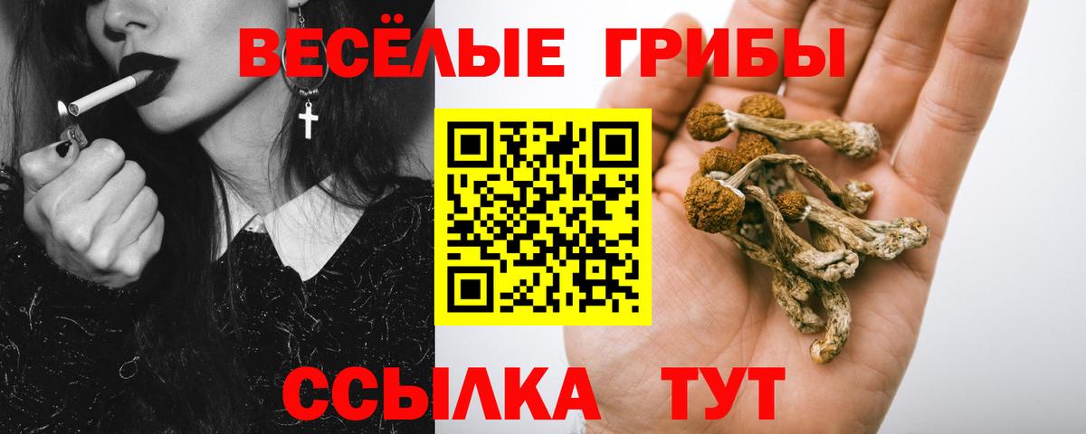 Псилоцибиновые грибы Magic Shrooms Сорочинск